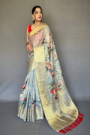 Coin Grey Digital Print Saree