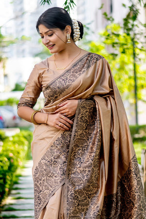 Chiku  Brown Raw Silk Saree With Blouse Piece
