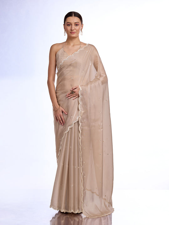 Chiku Organza silk Saree With Blouse Piece Chiku Organza silk Saree With Blouse Piece