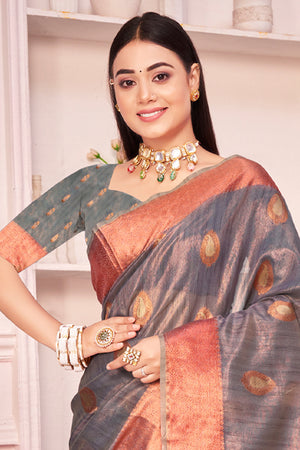Coin Grey Organza saree