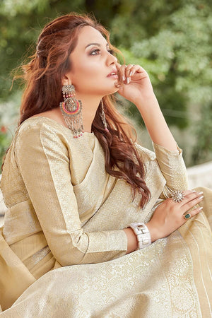 Fawn Beige Linen Blend Saree