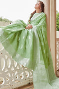 Pear Green Linen Blend Saree linen sarees online