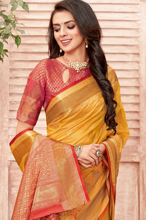 organza saree