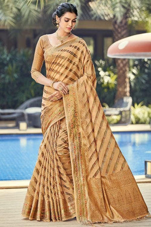 Light Brown Organza Saree