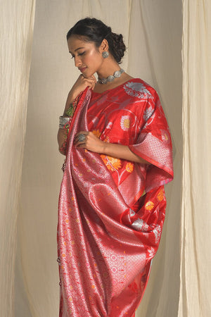 organza saree