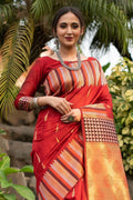 Barn Red Tussar Saree tussar saree