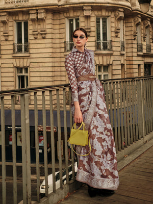 Brown Organza Chickankari Saree With Blouse Piece