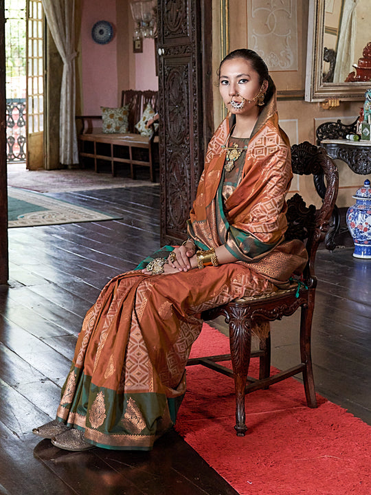 Rust Orange Pure Silk Pochampally Weaving Saree With Blouse Piece