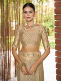 Gold Brasso Festive Wear Saree With Blouse Piece