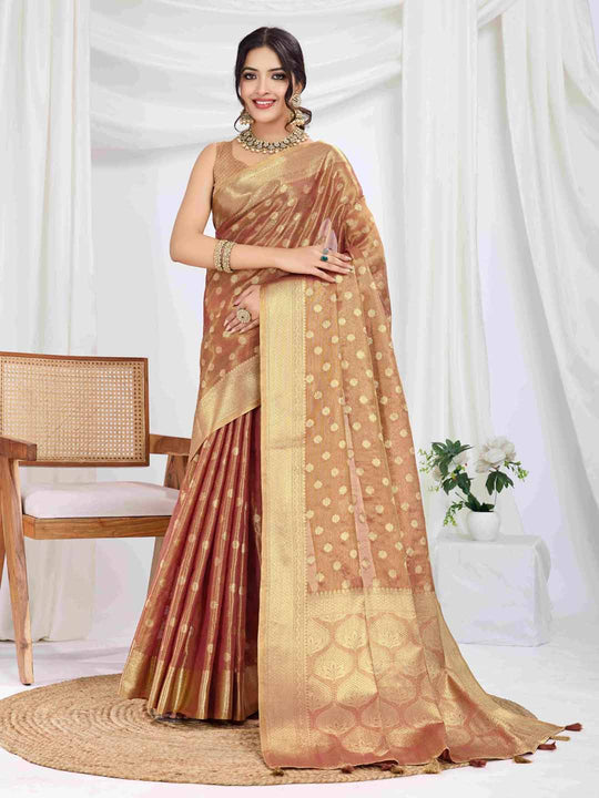 Rustic Red Pure Tissue Silk Banarasi Saree With Brocade Blouse Piece