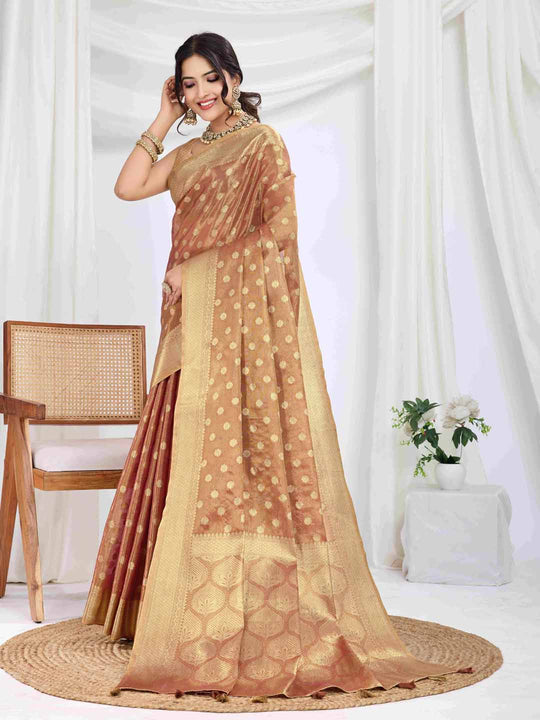 Rustic Red Pure Tissue Silk Banarasi Saree With Brocade Blouse Piece