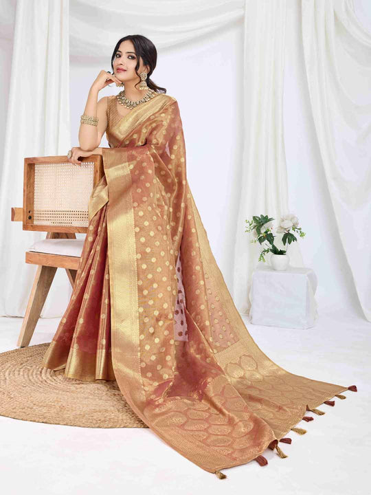 Rustic Red Pure Tissue Silk Banarasi Saree With Brocade Blouse Piece