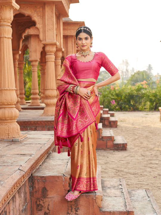 Dark Pink Soft Banarasi Silk With Gold Zari Weaving With Zhallar Saree With Blouse Piece
