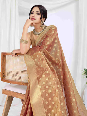 Rustic Red Pure Tissue Silk Banarasi Saree With Brocade Blouse Piece