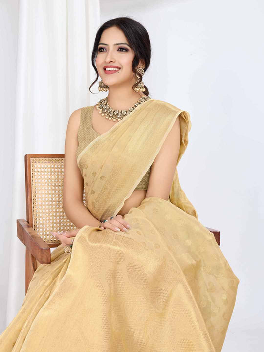 Beige Pure Tissue Silk Banarasi Saree With Brocade Blouse Piece