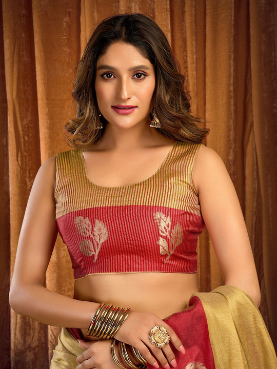 Light Gold Soft Tissue Contrast Border With Zhallar Saree With Blouse Piece