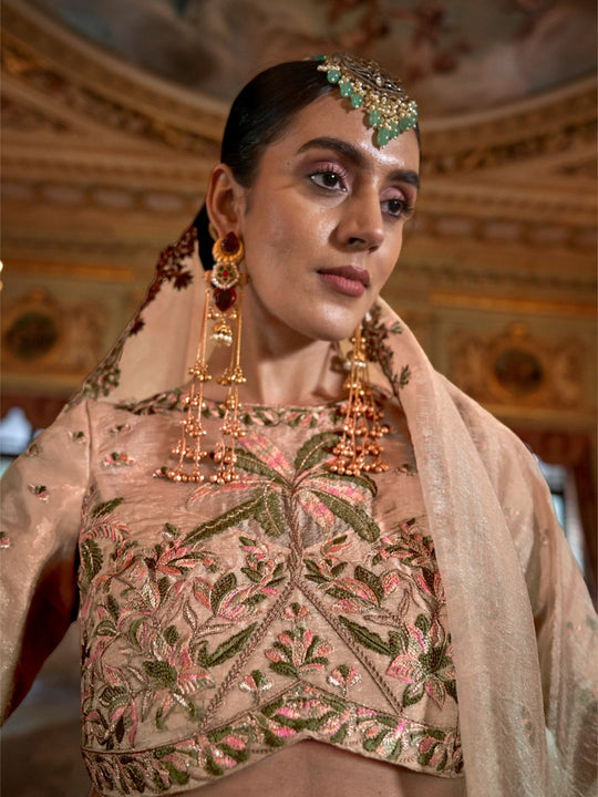 Soft Tissue Multi Thread Work Embroidered Saree