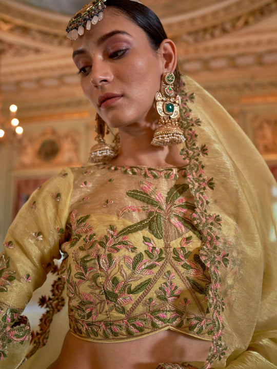 Soft Tissue Multi Thread Work Embroidered Saree