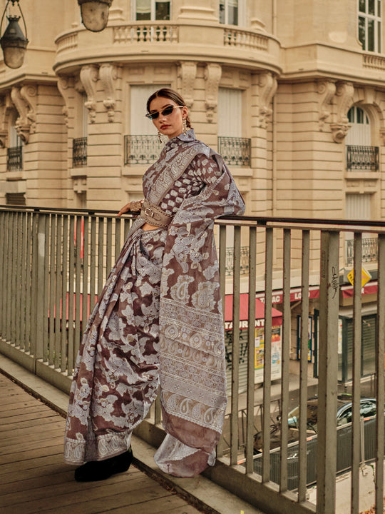 Brown Organza Chickankari Saree With Blouse Piece