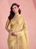 TISSUE FANCY WEAVING SAREE