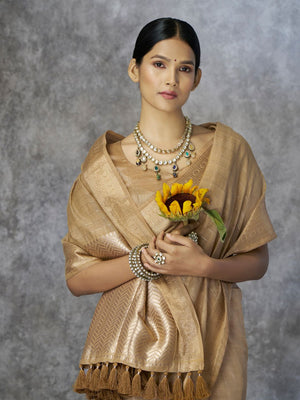 Tissue Silk with Zari Border