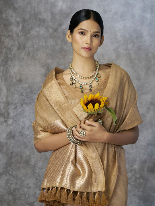 Tissue Silk with Zari Border