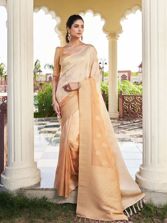 Beige Banarasi Pure Georgette Saree With Blouse Piece