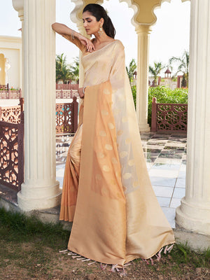 Beige Banarasi Pure Georgette Saree With Blouse Piece