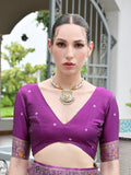 Wine Banarasi Silk Patola Saree With Blouse Piece