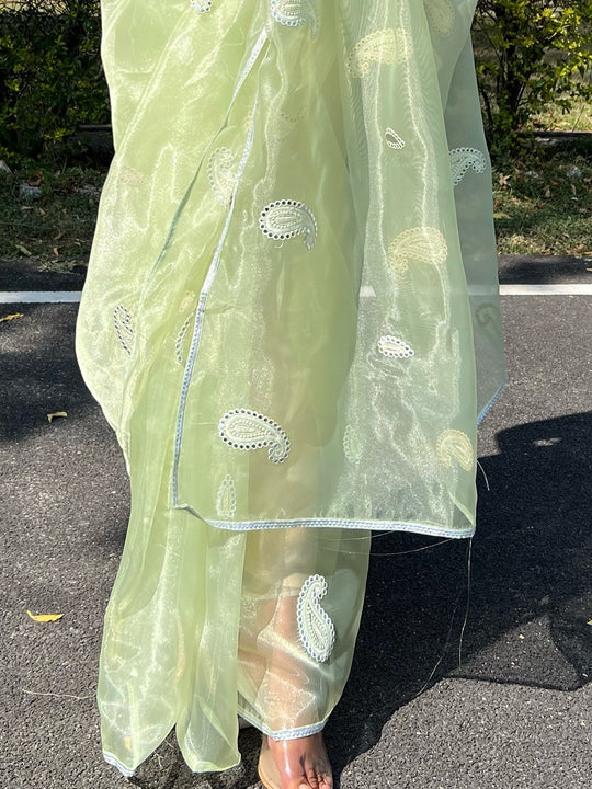 Lime Green Organza Saree With Blouse Piece