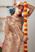 Light Brown Organza Saree