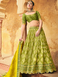 Fern Green Lehenga Choli