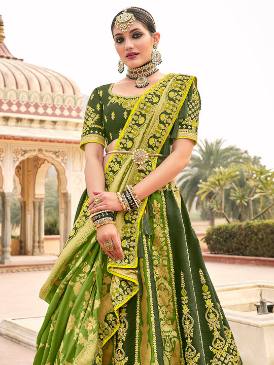 Heena Green Lehenga Choli