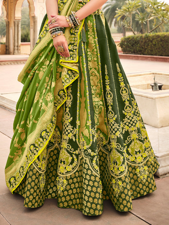 Heena Green Lehenga Choli