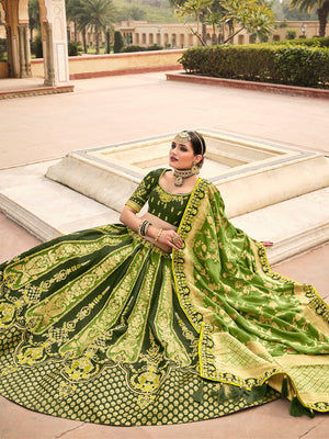 Heena Green Lehenga Choli