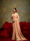 Georgette Banarasi Saree With Blouse Piece