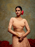 Georgette Banarasi Saree With Blouse Piece