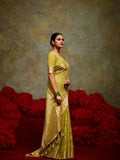 Georgette Banarasi Saree With Blouse Piece