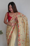 Beige Georgette Saree with Maroon Blouse Piece