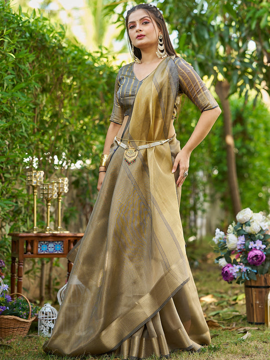Grey Tissue  Saree With Blouse Piece
