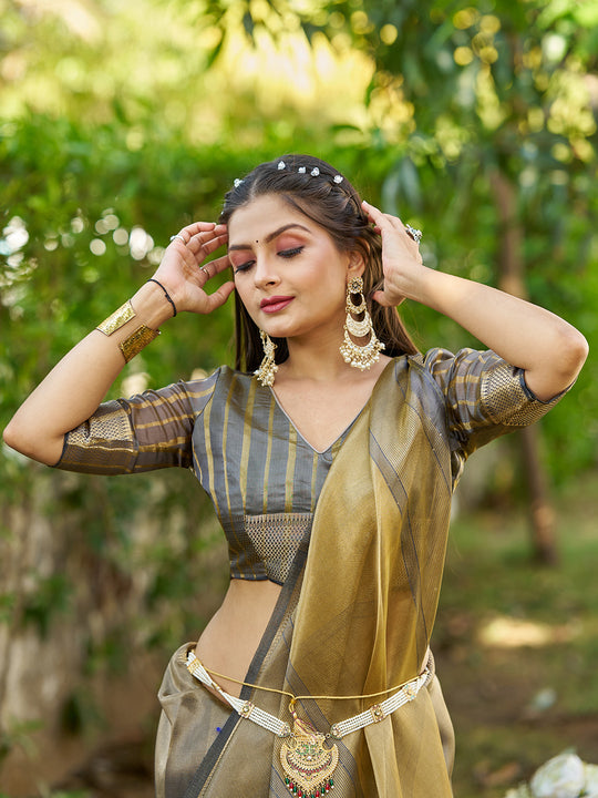 Grey Tissue  Saree With Blouse Piece