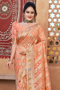 Salmon Peach Organza Saree
