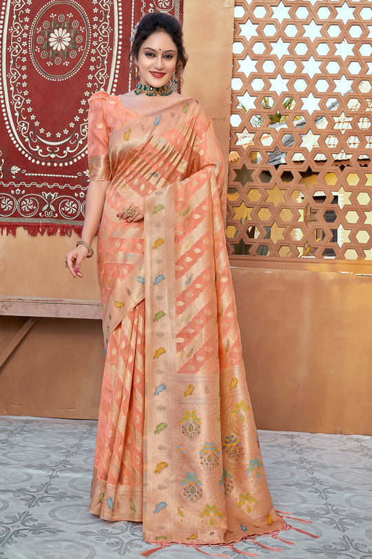 Salmon Peach Organza Saree