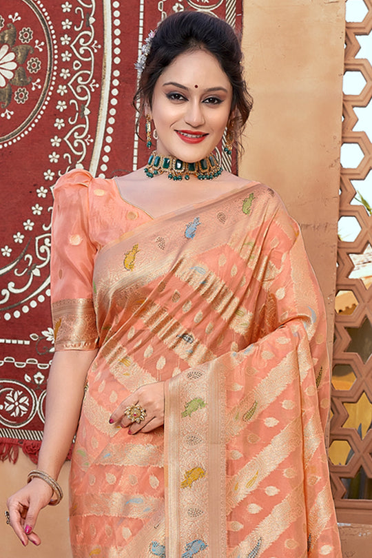 Salmon Peach Organza Saree