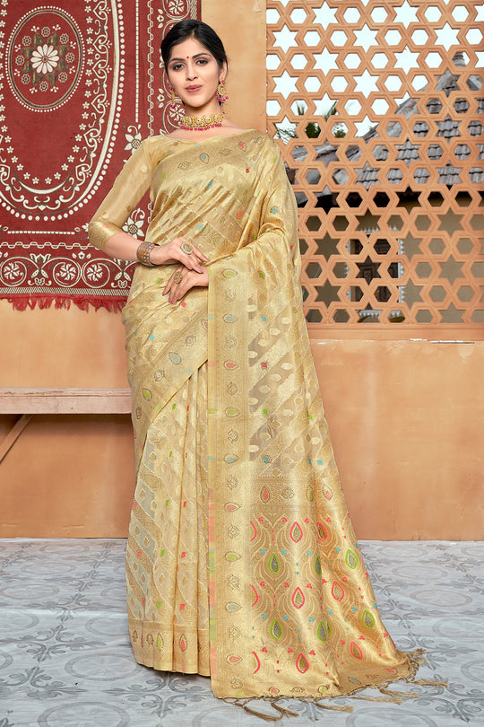 Tan Beige Organza Saree