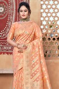 Salmon Peach Organza Saree