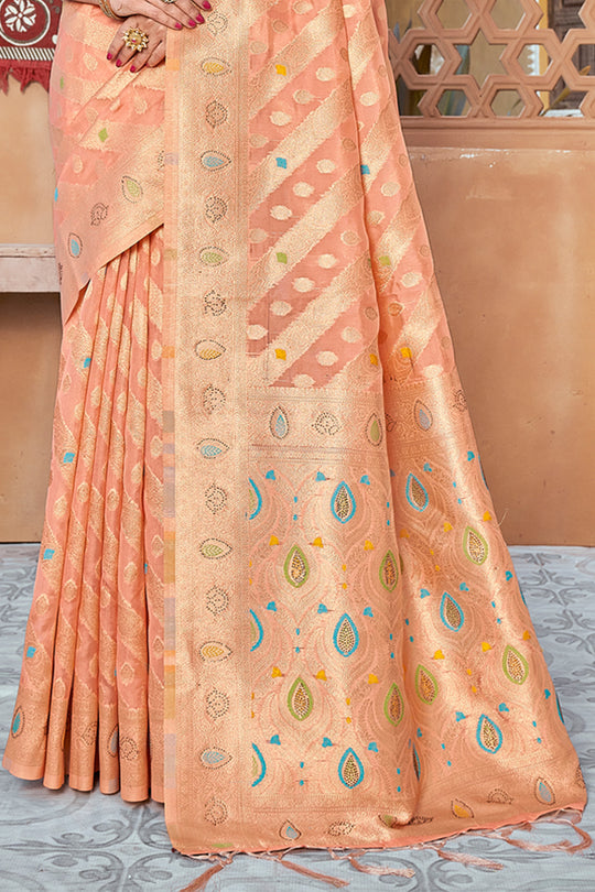 Salmon Peach Organza Saree