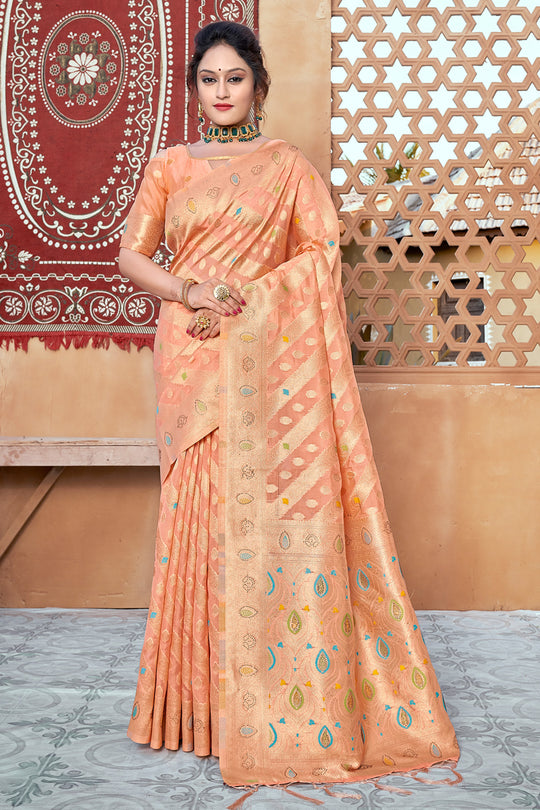 Salmon Peach Organza Saree