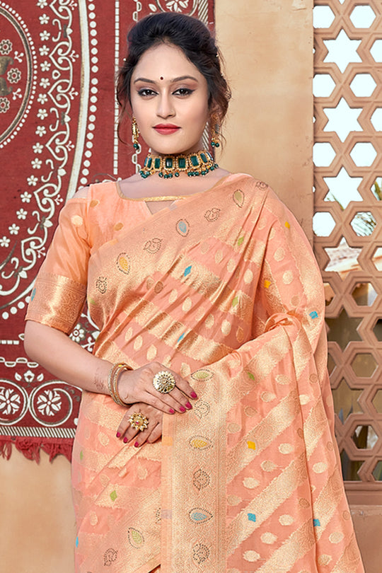 Salmon Peach Organza Saree
