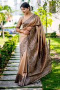 Chiku  Brown Raw Silk Saree With Blouse Piece